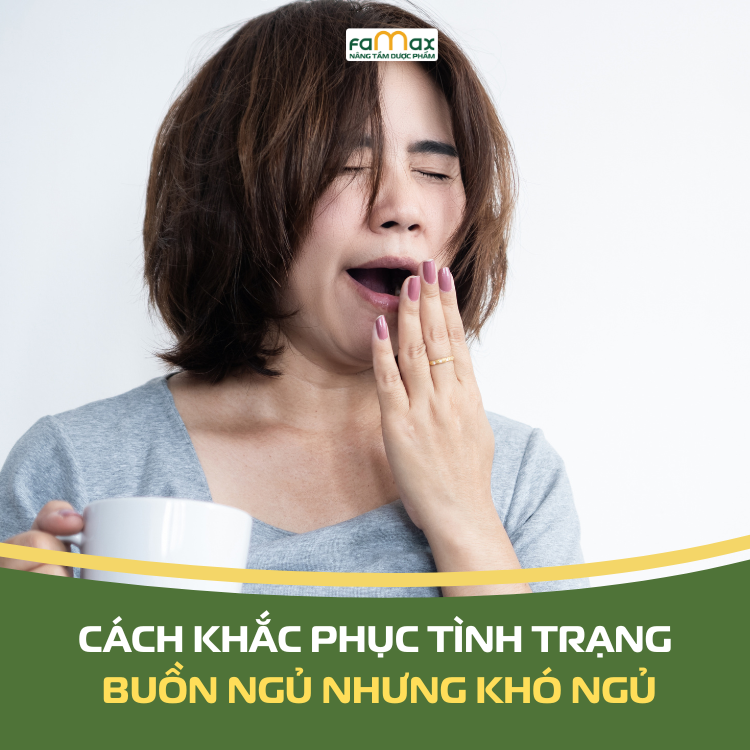 Cach Khac Phuc Tinh Trang Buon Ngu Nhung Kho Ngu 6961c22b3c907.webp