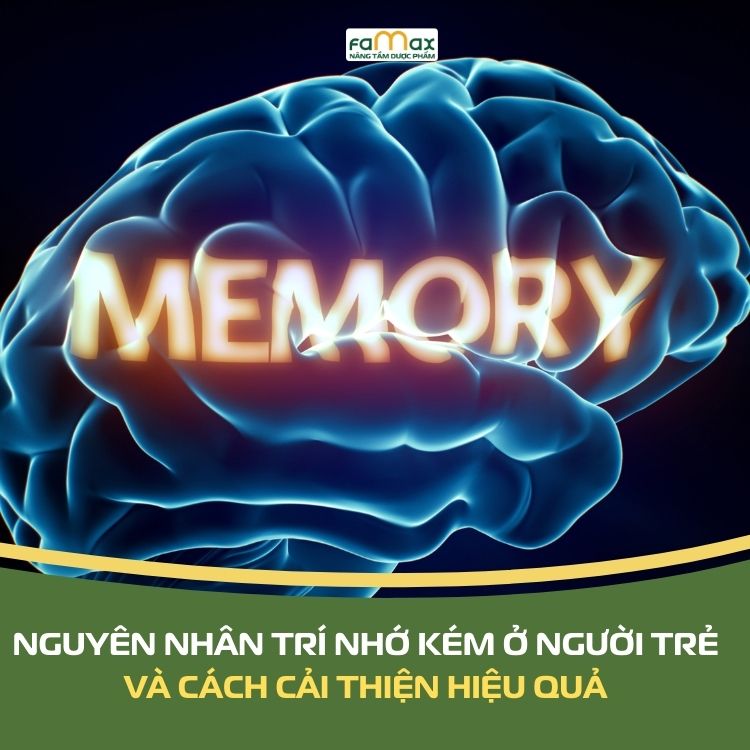 Nguyen Nhan Tri Nho Kem O Nguoi Tre Tuoi 6961be0bdc171.webp